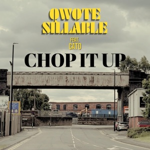 Chop It Up (feat. Cato)