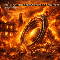 Pa Que Topen de Lo Chido - Easy Mo