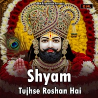 Shyam Tujhse Roshan Hai - Single - Vijay Singh