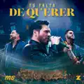 Tu Falta De Querer