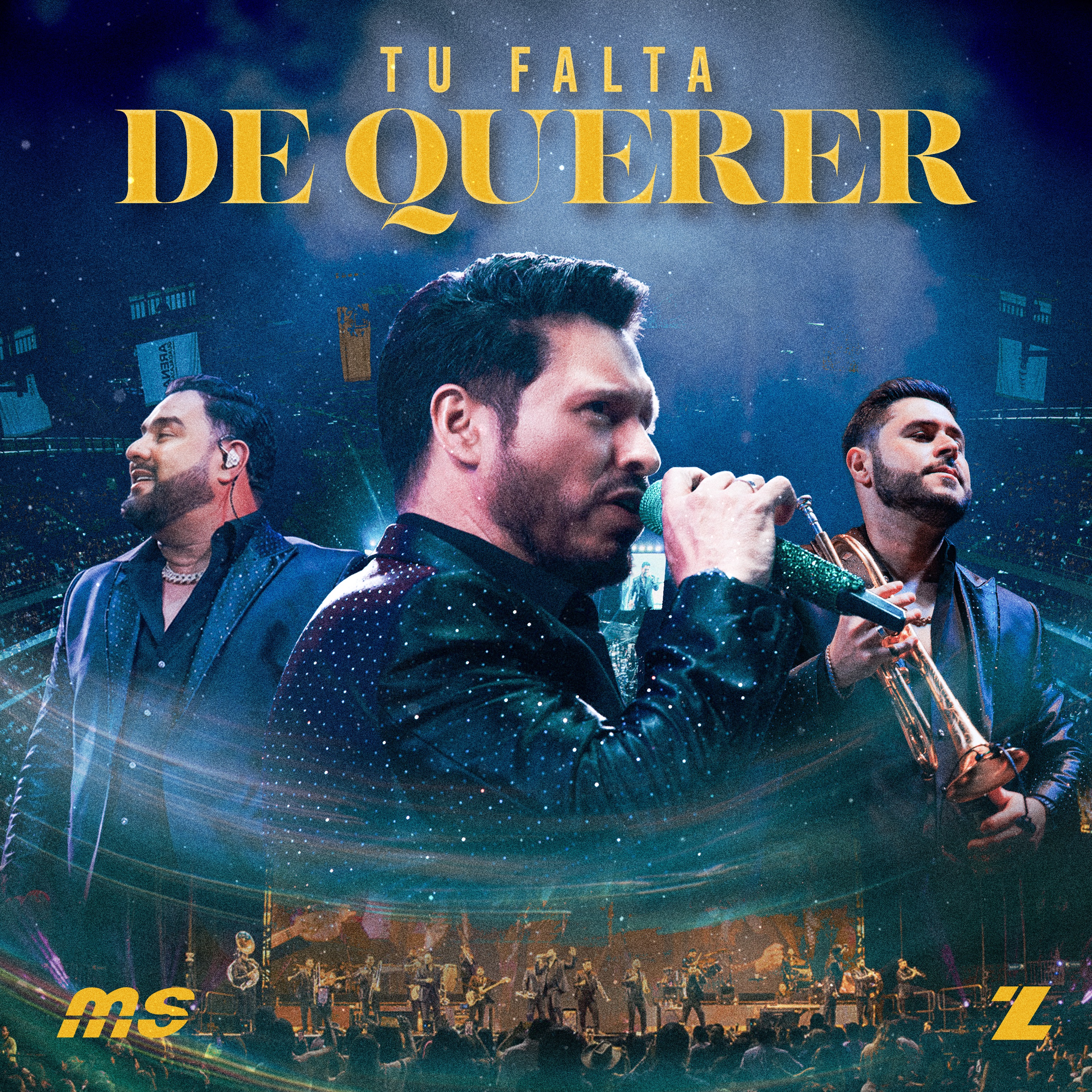 Tu Falta De Querer - Single
