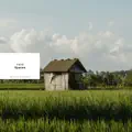 Spaces