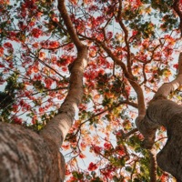 Constellations - Single - Kichiro & cloud cover