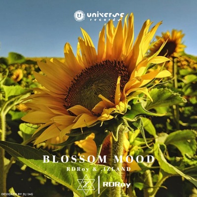 Blossom Mood - Single