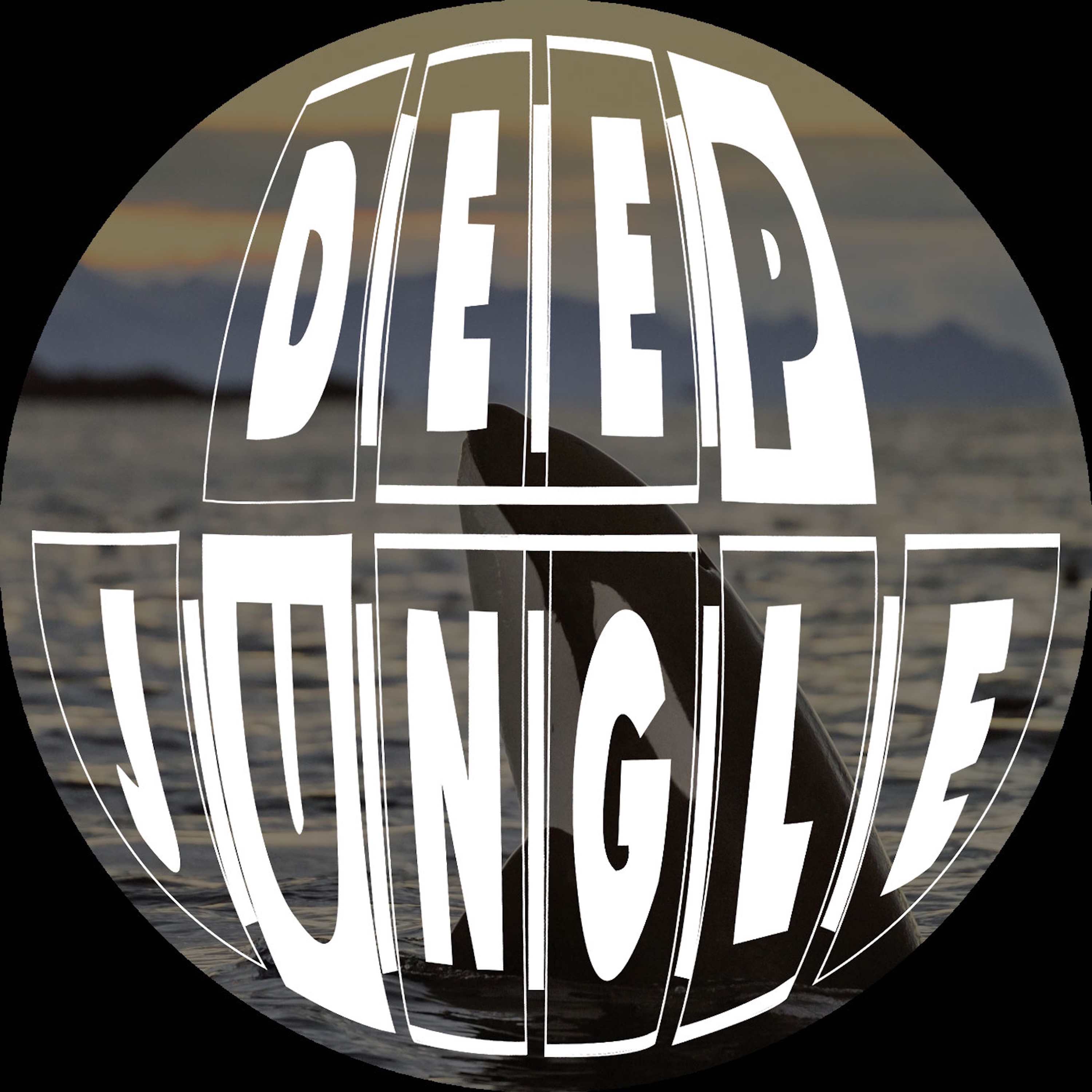 Dancing With Dolphins Vol. 2 - EP