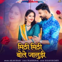 Mithi Mithi Bole Janudi - Single - Aslam Khan