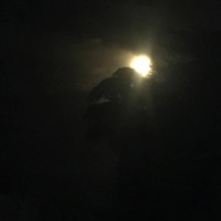 Absence (feat. K-kap) - Single - eazzy.