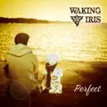 Perfect