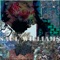 The Bear / Coltan As Cotton - Saul Williams lyrics
