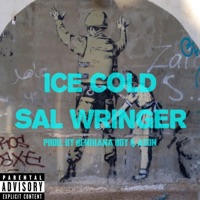 Ice Cold - Single - Sal Wringer