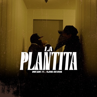 La Plantita (feat. Ojosciegos) - Single