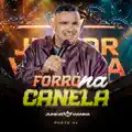 Forró Cachorro