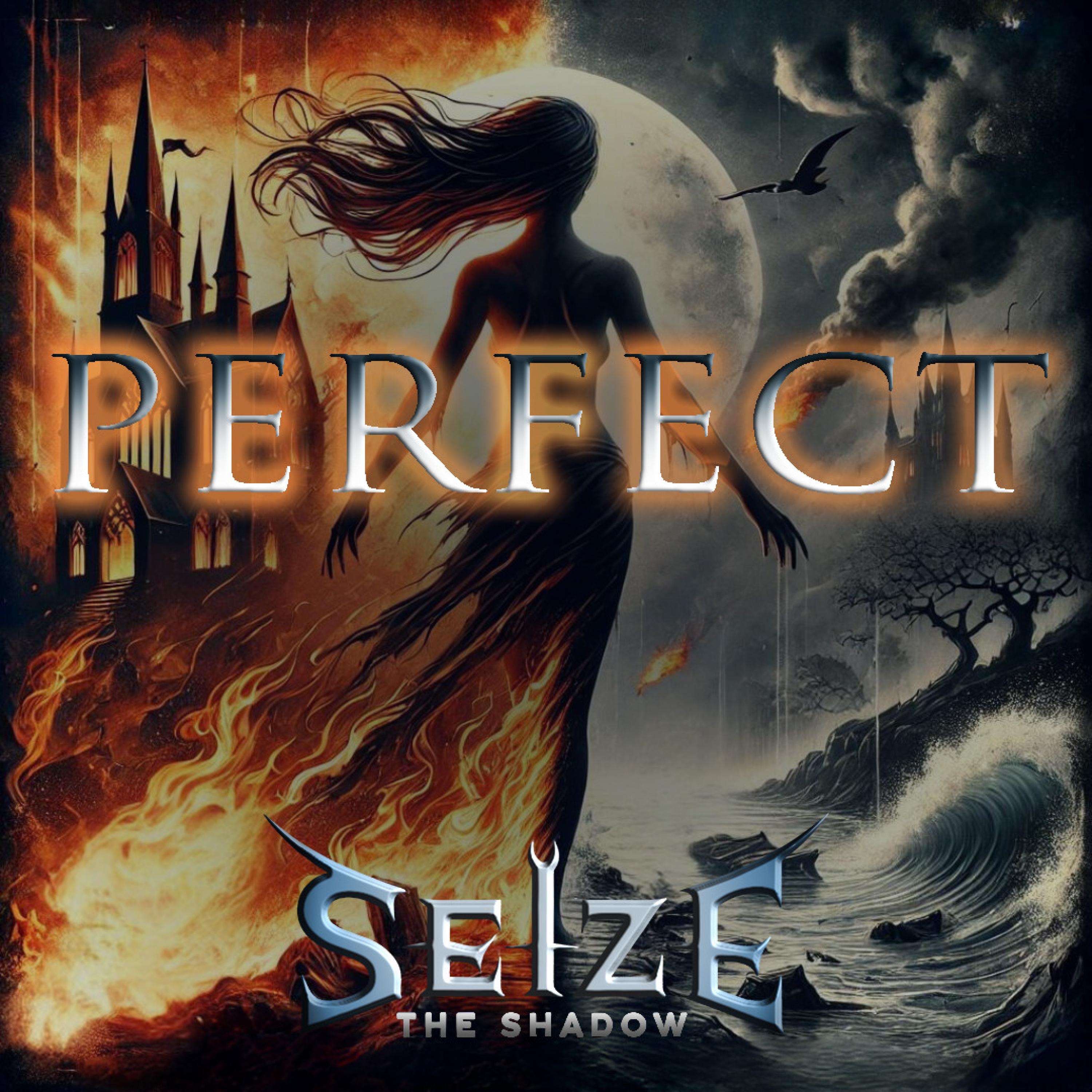 Perfect - Single