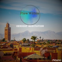 Flow Within (Nature) (feat. Ayoub Houmanna, Nina Nalo, Alma Lin, Jasper Whisper & Flame Timo) - Single - Sensory Meditation
