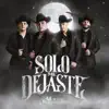 SOLO ME DEJASTE