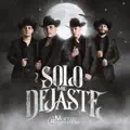 SOLO ME DEJASTE