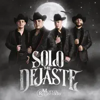 SOLO ME DEJASTE