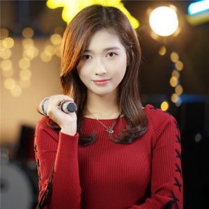 Wang Qing (王晴) - Ai Qing De Gu Shi (爱情的故事) (DJ阿本版) - Line Dance Music