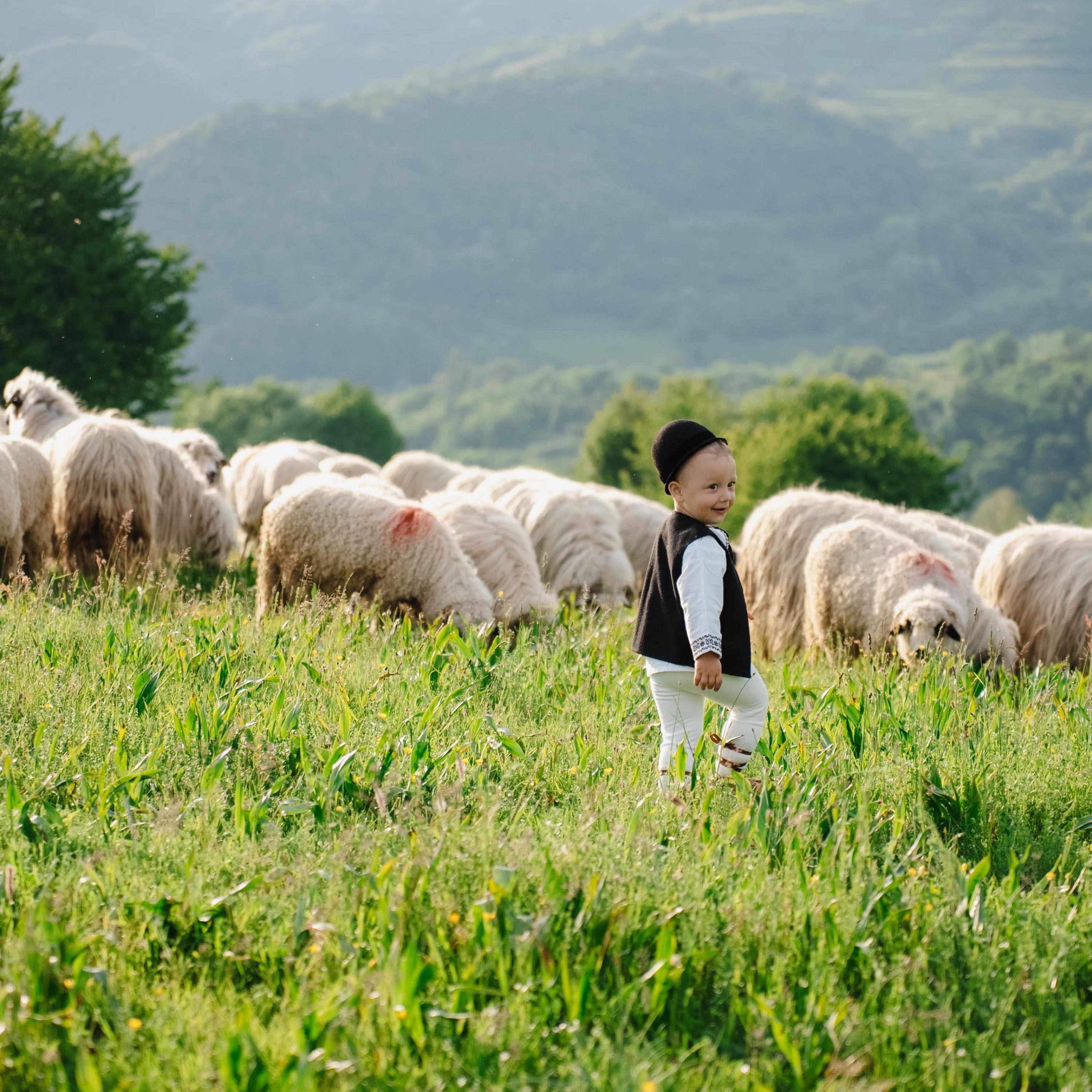 Pe deasupra satului - Single