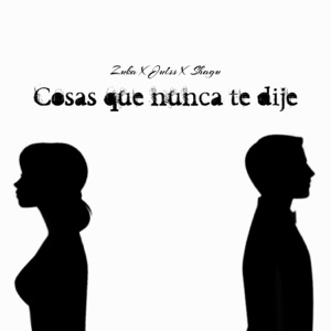 Cosas que nunca te dije