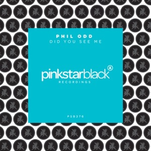 Did You See Me - Single