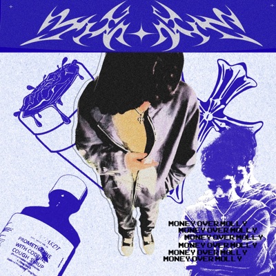 Money Over Molly (feat. Pushin & FeryFlame) - Single