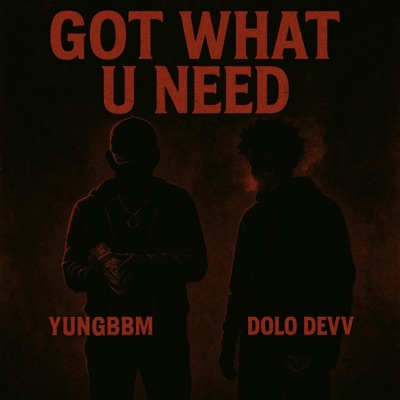 Got What U Need (feat. Dolo Devv) - Single