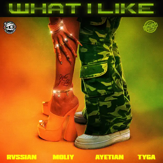 What I Like - Single \[Explicit\] by Rvssian, MOLIY, Ayetian &amp; TYGA – Apple Music