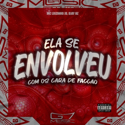 Ela Se Envolveu Com os Cara de Facção - Single
