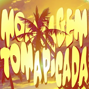 Montagem Toma Picada (feat. DJ EVTN 7) - EP