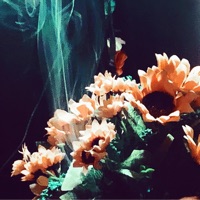 Alone in a Dimly Lit Room (Remaster) - Search_forever