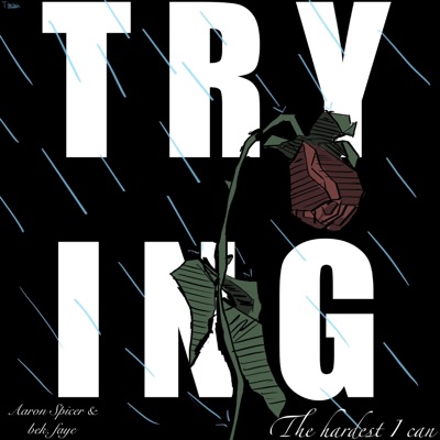 trying (the hardest I can) (feat. Bek. Faye) [Bonus Track] - Single