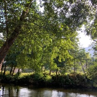 How Can I Feel Bad? (feat. swazy* & 9lives) - Single - 47negus