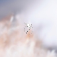 Missing You - Single - I.AM