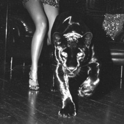 HAD TO LET YOU KNOW - Single