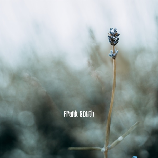 Softly Rooted