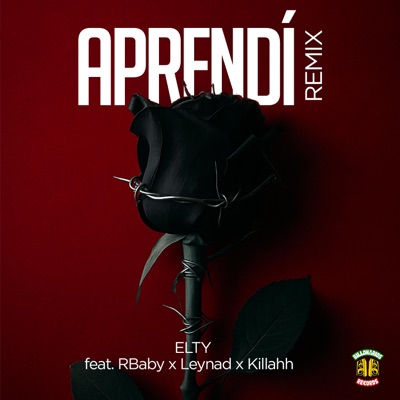 Aprendí (feat. RBaby, Leynad & Killahh) [Remix] - Single