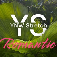 Romantic - Single - Ynw stretch