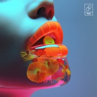 About Love - Single - Prana Flow