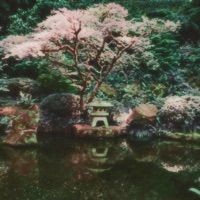 Secluded - Single - Toonorth