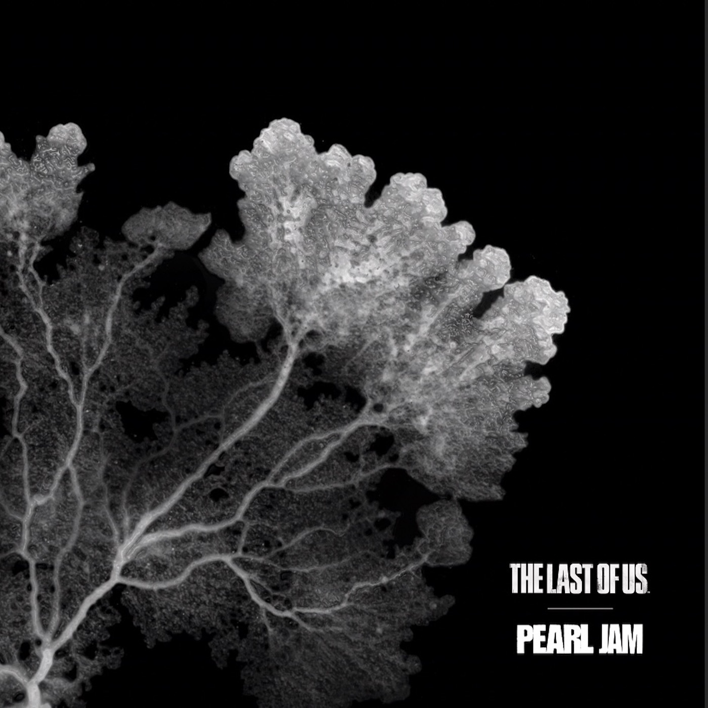 Pearl Jam