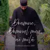 Oastea Domnului & Vasilică Cristea - De ce să plângi