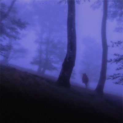 I'm Fading Away - Single