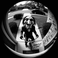 Vestido de Negro (feat. VIVI F) - Single - Chucky Family