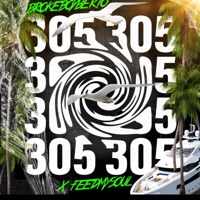 305 (feat. FeedMySoul) [Radio Edit] - Single - BrokeBoyBerto