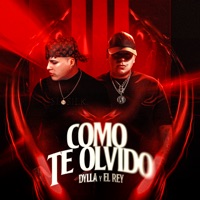 COMO TE OLVIDO - Single - Dylla & El Rey