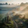 Morning Mist