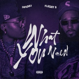 What You Need 30FOEZ, Flashy B & Jakob John