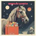 Sinterklaas Kapoentje