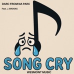 SONG CRY - Single